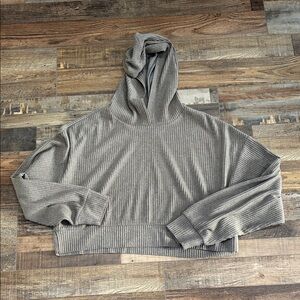 ALO Yoga taupe Ribbed Hoodie